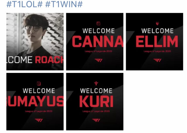 对马林鱼而 对马林鱼而